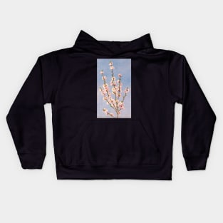 Peach blossom - Prunus persica - botanical illustration Kids Hoodie